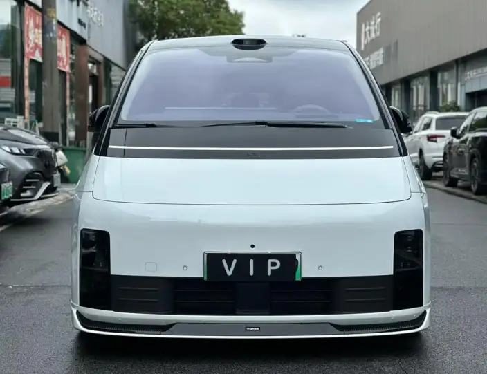 Li Auto MEGA 2025 Model Home Family Special Edition – фото 2