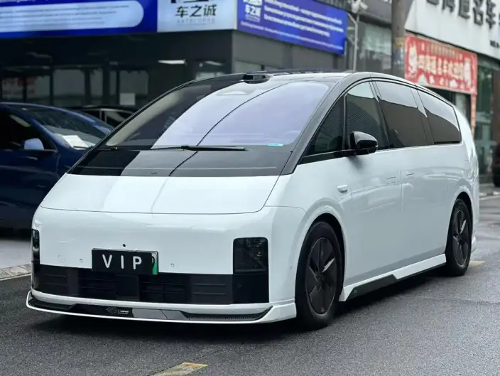 Li Auto MEGA 2025 Model Home Family Special Edition – фото 10