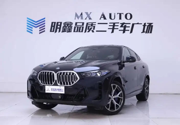 BMW X6 2023 Model xDrive40i Exclusive Model M Sports Set – фото 1