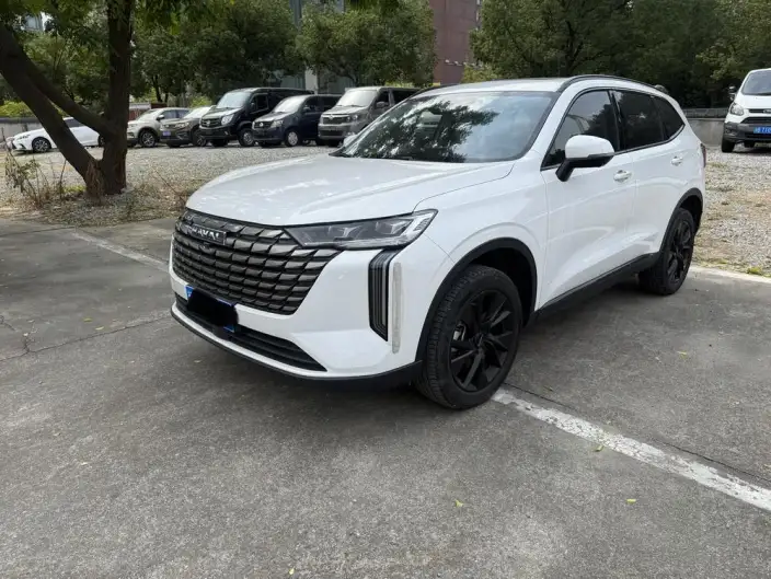 Haval H6 2024 Model 1.5T Automatic 2WD Max Edition – фото 1