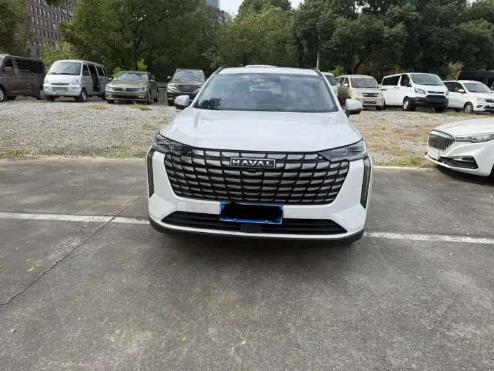 Haval H6 2024 Model 1.5T Automatic 2WD Max Edition – фото 2