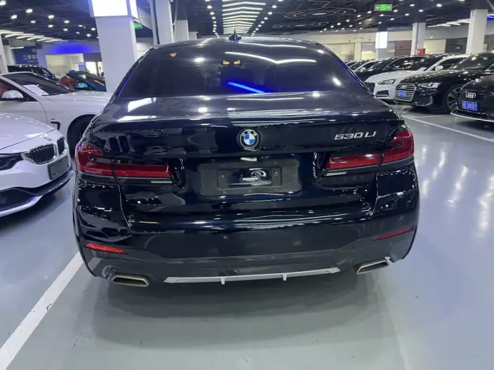 BMW 5 Series 2023 Model 530Li Leading Model M Sports Set – фото 5
