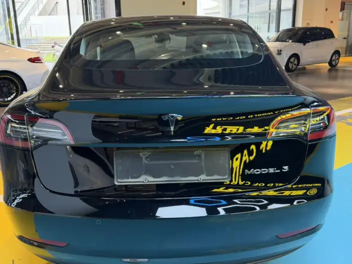 Model 3 2021 Model Standard Battery Life Rear Drive L Class Edition 3D6 – фото 3