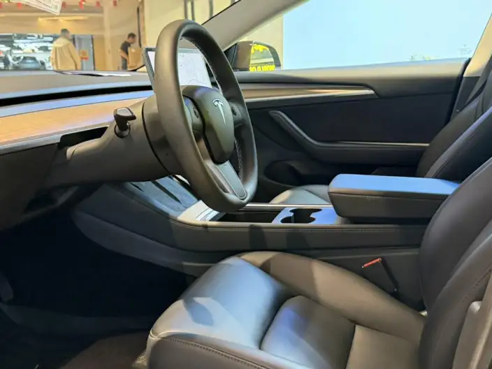 Model 3 2021 Model Standard Battery Life Rear Drive L Class Edition 3D6 – фото 9