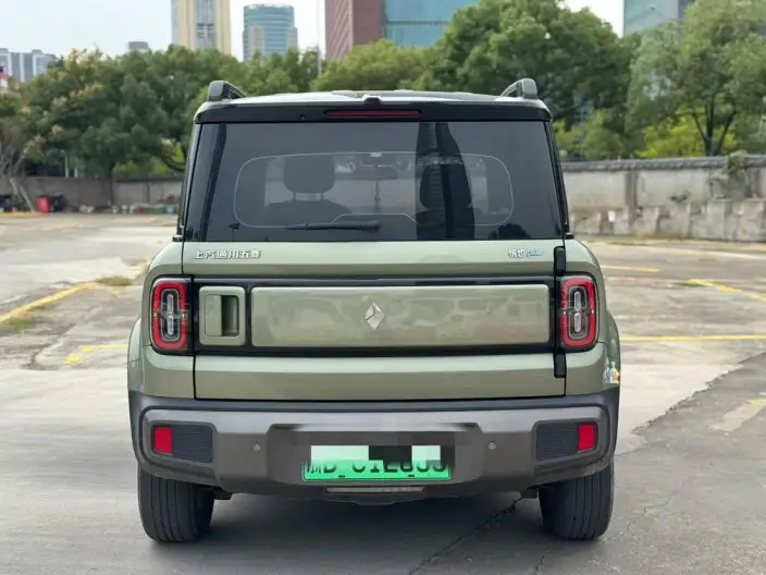 Yueye Plus 2024 Model Zhizun Edition