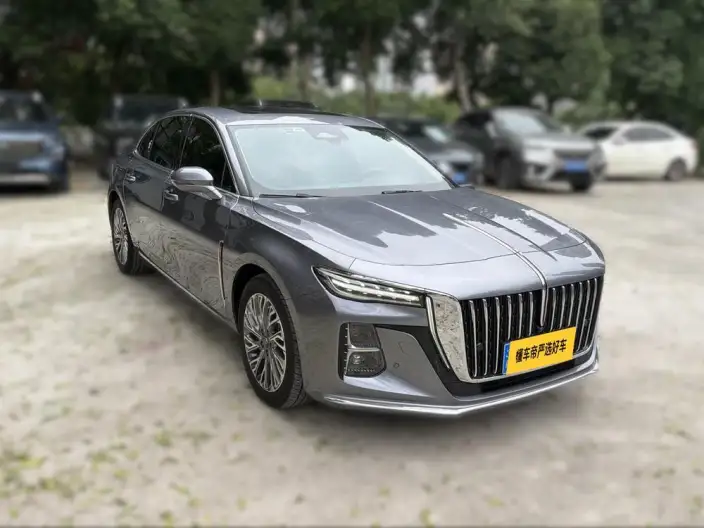 Hongqi H5 2023 Model 2.0T Automatic Flag Enjoy Edition – фото 2