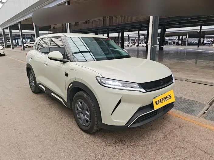 Yuan UP 2025 Model Smart Driving Edition 401KM Vitality Edition – фото 2
