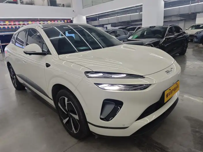 Sea Lion 06DM 2025 Model DM-i 205KM Pilot Plus Edition – фото 2