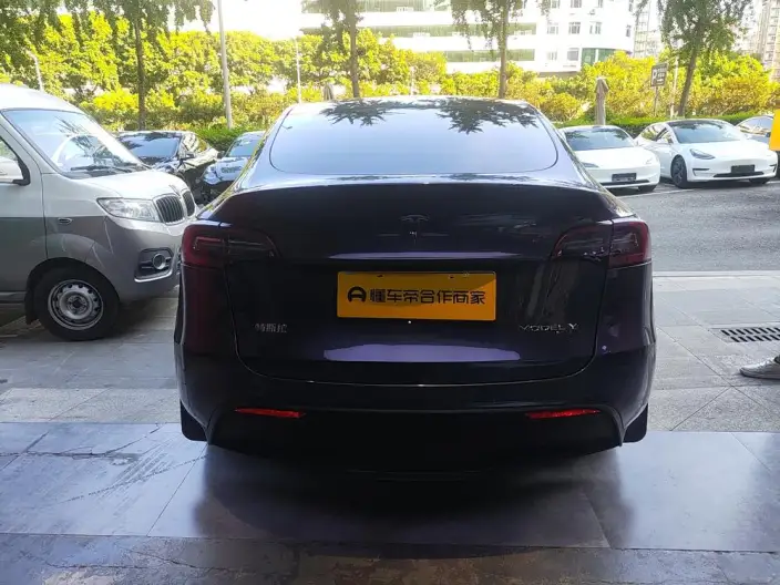 Model Y 2022 Model Rear-wheel drive version – фото 5
