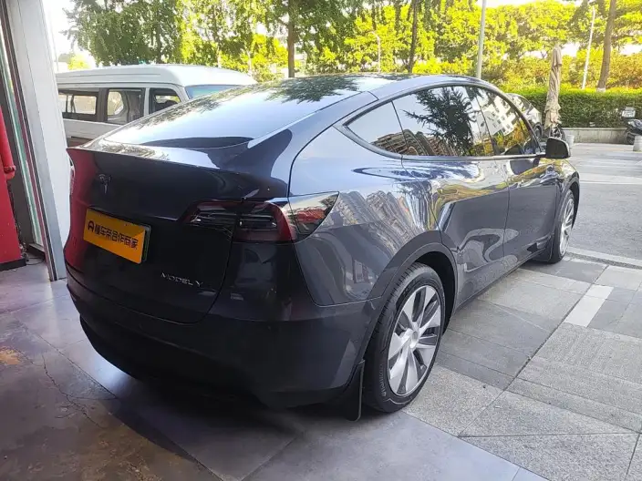 Model Y 2022 Model Rear-wheel drive version – фото 6