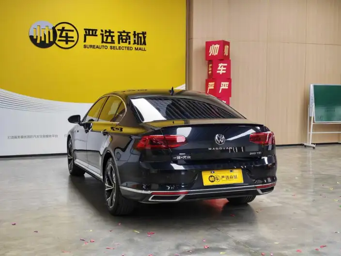 Volkswagen Magotan 2020 Model 330TSI DSG Luxury Model – фото 4
