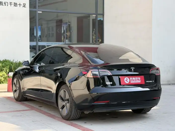 Model 3 2022 Model Rear-wheel drive version – фото 4