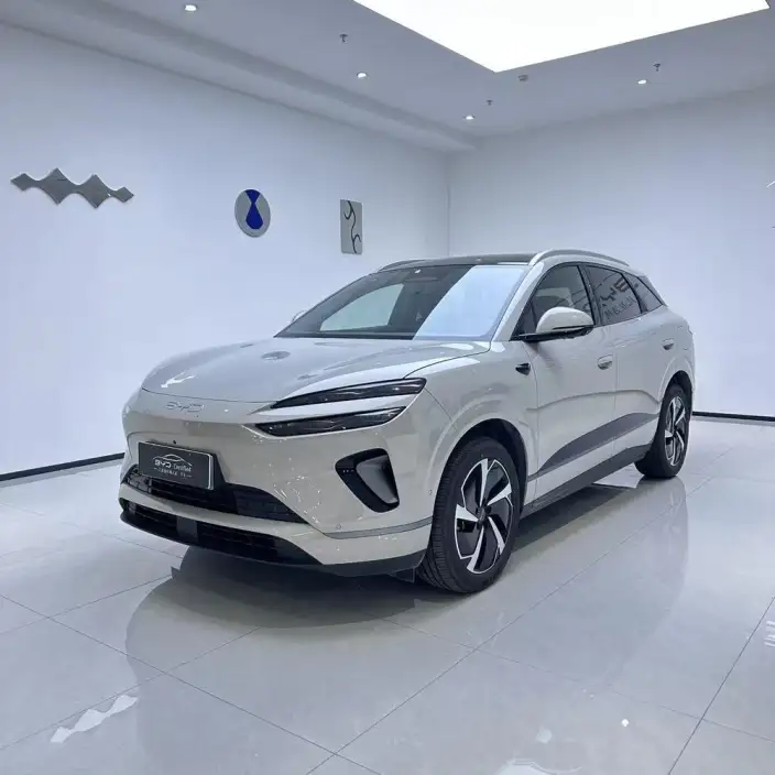 Sea Lion 06DM 2025 Model DM-i 205KM Pilot Pro Edition – фото 1