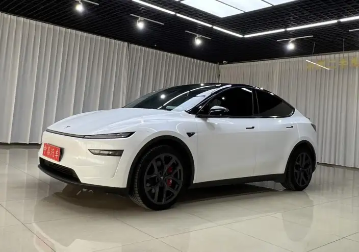 Model Y 2025 Model Facelift Long Battery Life Pro All-wheel drive version – фото 1