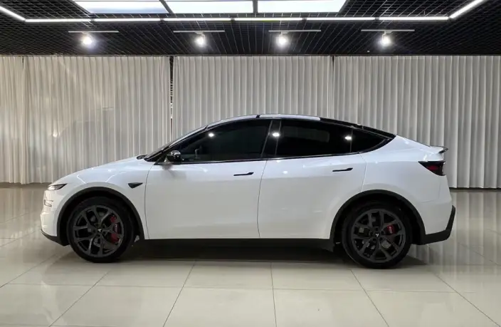 Model Y 2025 Model Facelift Long Battery Life Pro All-wheel drive version – фото 3