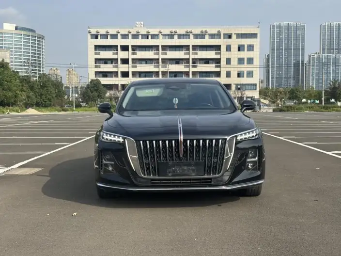 Hongqi H5 2023 Model 2.0T Automatic Flag Enjoy Edition – фото 2