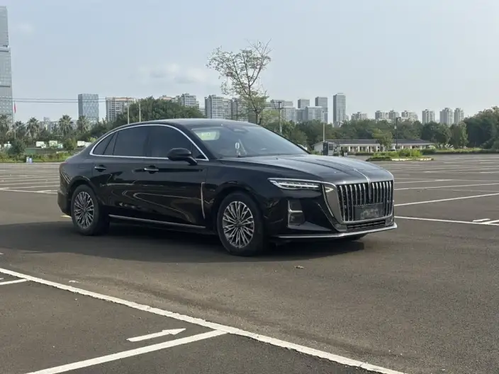 Hongqi H5 2023 Model 2.0T Automatic Flag Enjoy Edition – фото 3