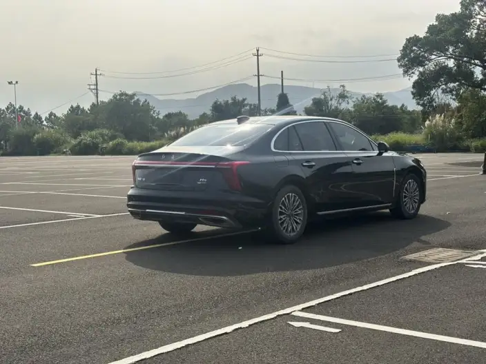 Hongqi H5 2023 Model 2.0T Automatic Flag Enjoy Edition – фото 6