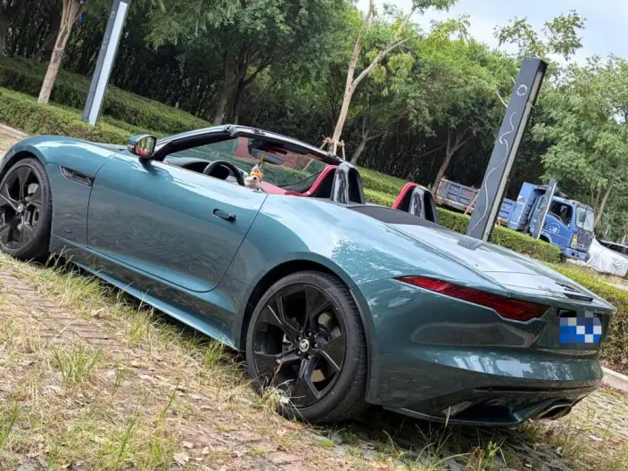 Jaguar F-TYPE 2024 Model P300 75th Anniversary Collector Edition Convertible Edition