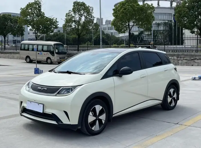 BYD Dolphin 2023 Model Fashion Edition – фото 1