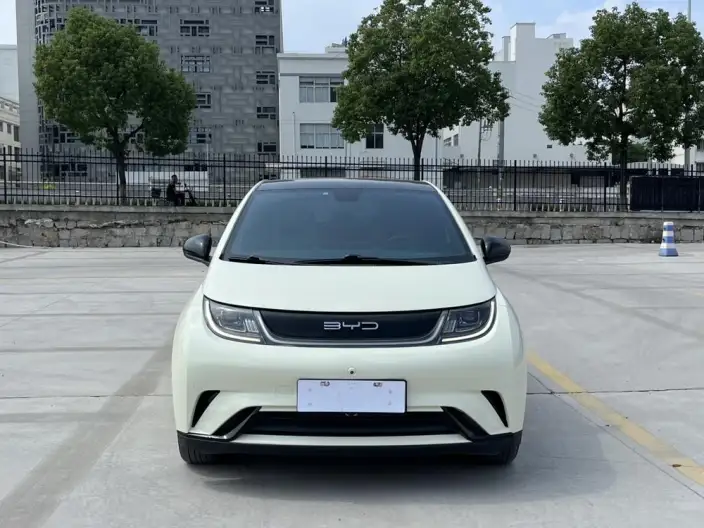 BYD Dolphin 2023 Model Fashion Edition – фото 2