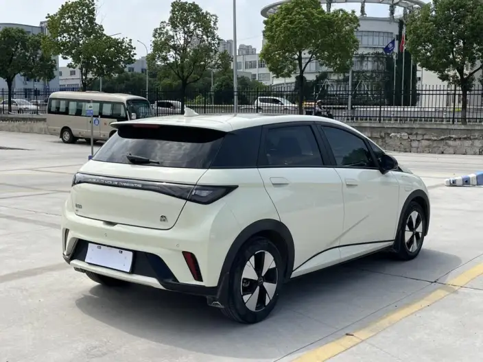BYD Dolphin 2023 Model Fashion Edition – фото 5