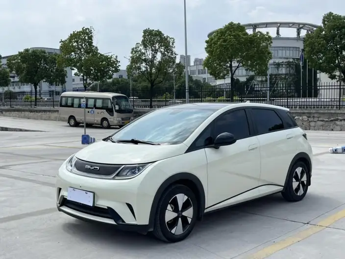 BYD Dolphin 2023 Model Fashion Edition – фото 9
