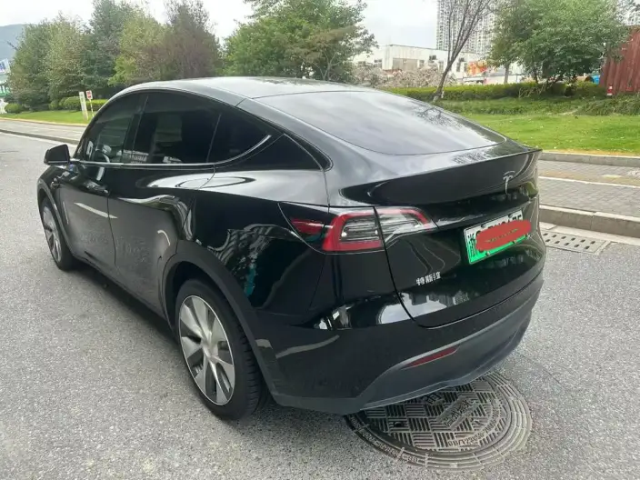 Model Y 2022 Model Facelift Rear-wheel drive version – фото 4