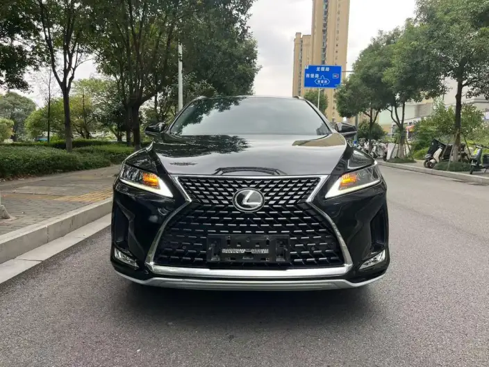 Lexus RX 2020 Model Facelift 300 2WD Elite Edition – фото 2