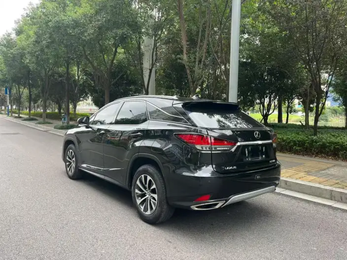 Lexus RX 2020 Model Facelift 300 2WD Elite Edition – фото 5