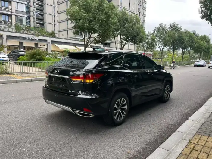 Lexus RX 2020 Model Facelift 300 2WD Elite Edition – фото 6