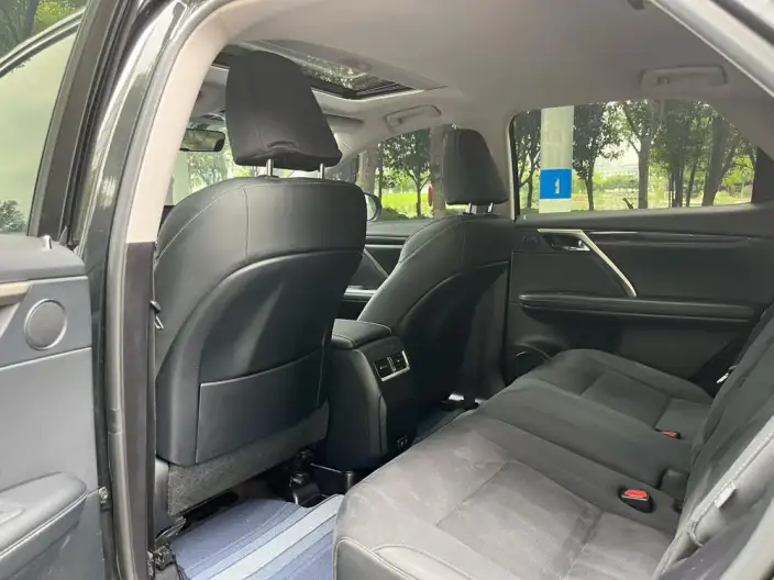 Lexus RX 2020 Model Facelift 300 2WD Elite Edition – фото 9