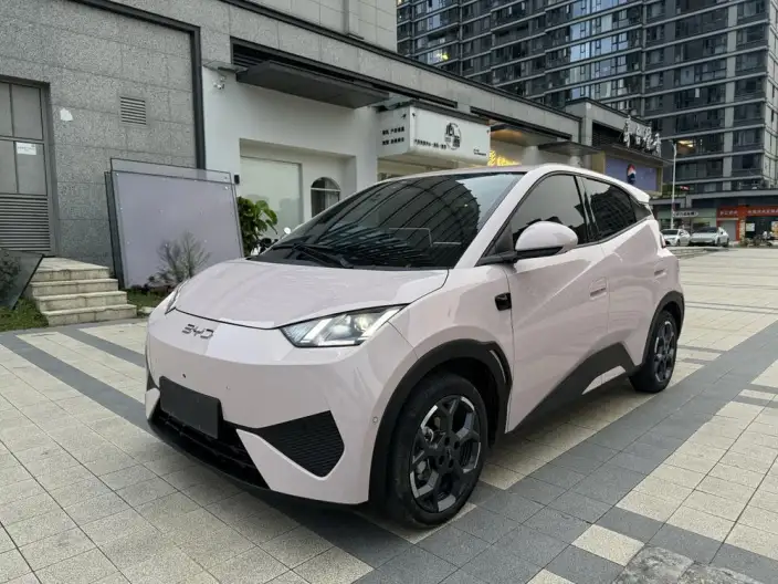 BYD Seagull 2025 Model Smart Driving Edition 305KM Free Edition – фото 1