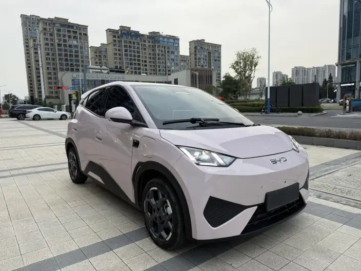 BYD Seagull 2025 Model Smart Driving Edition 305KM Free Edition – фото 3