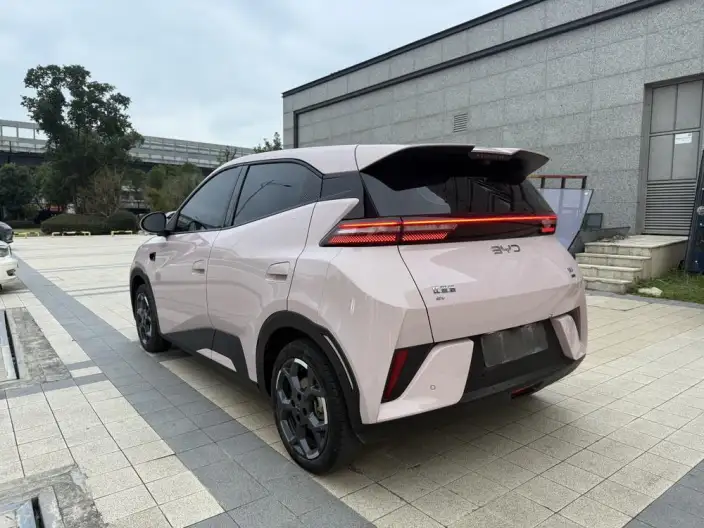 BYD Seagull 2025 Model Smart Driving Edition 305KM Free Edition – фото 5