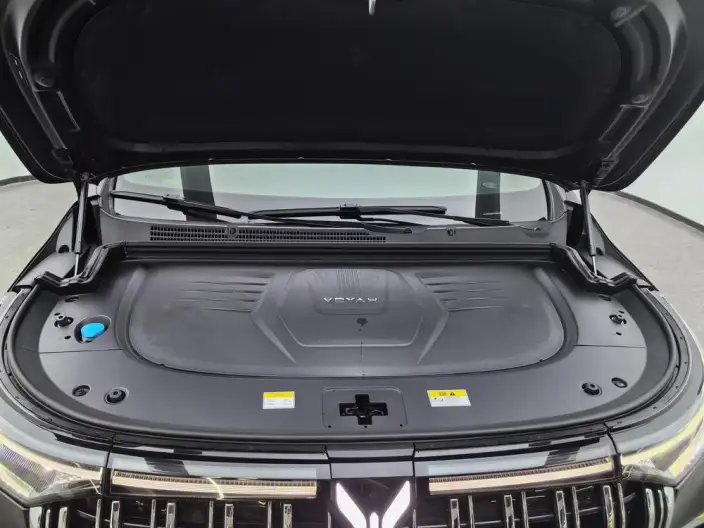 VOYAH Dreamer PHEV 2024 Model Ultra-long Endurance Premium Edition – фото 10