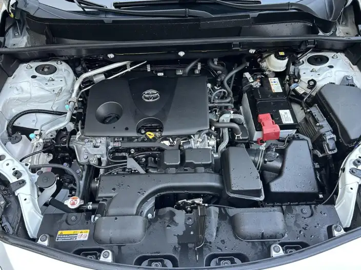 Venza 2023 Model 2.0L CVT 2WD Deluxe Edition – фото 7