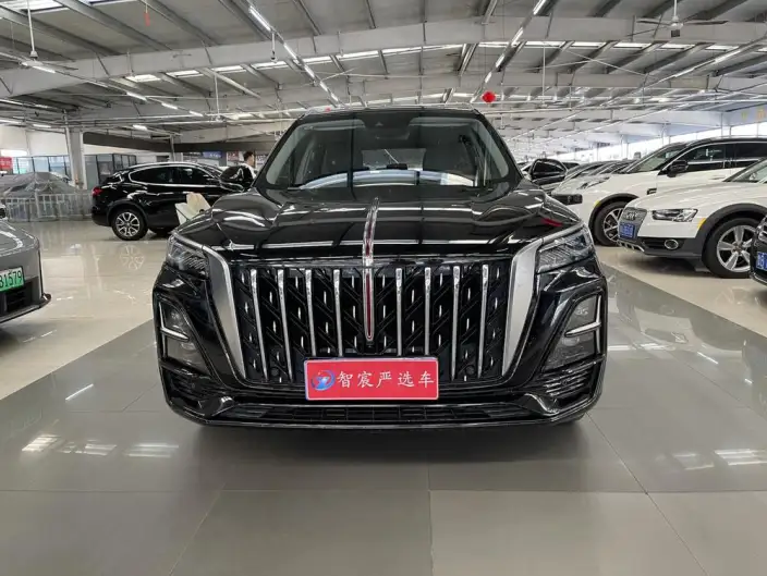 Hongqi HS5 2023 Model 2.0T Flag Xiang Pro Edition – фото 2