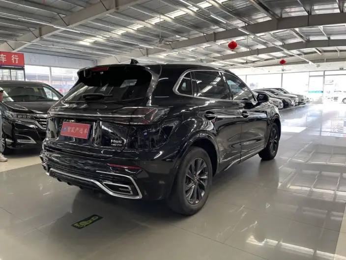 Hongqi HS5 2023 Model 2.0T Flag Xiang Pro Edition – фото 5