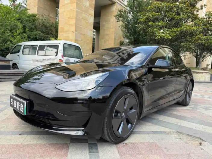 Model 3 2022 Model Rear-wheel drive version – фото 1