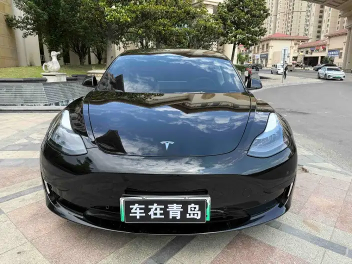 Model 3 2022 Model Rear-wheel drive version – фото 2