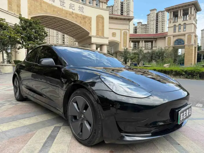 Model 3 2022 Model Rear-wheel drive version – фото 3