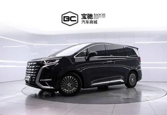DENZA D9 DM 2024 Model 980 4WD Noble Model – фото 1