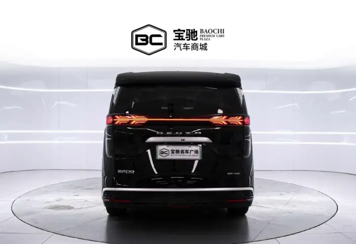 DENZA D9 DM 2024 Model 980 4WD Noble Model – фото 3