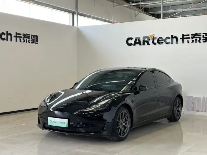 Model 3 2022 Model Rear-wheel drive version – фото 1