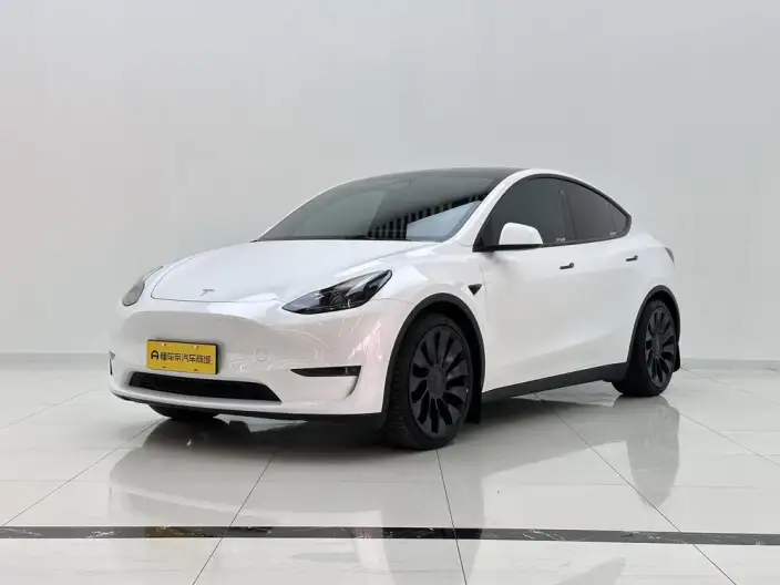 Model Y 2022 Model Performance High performance All-wheel drive version – фото 1