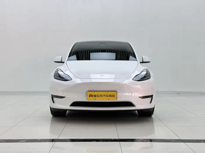Model Y 2022 Model Performance High performance All-wheel drive version – фото 2