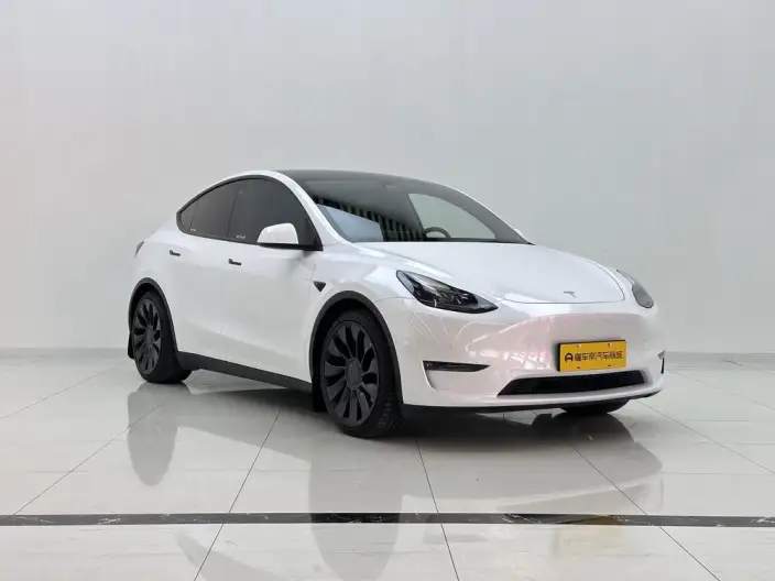 Model Y 2022 Model Performance High performance All-wheel drive version – фото 3