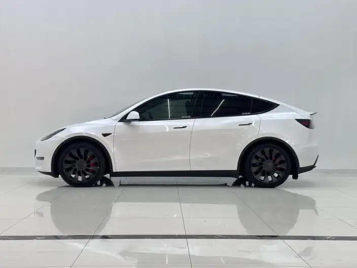 Model Y 2022 Model Performance High performance All-wheel drive version – фото 4