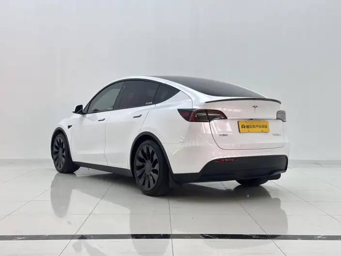 Model Y 2022 Model Performance High performance All-wheel drive version – фото 5